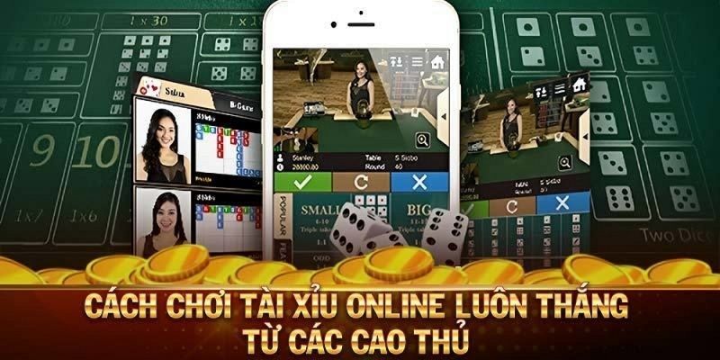 Cách chơi tài xỉu từ chuyên gia săn thưởng lớn