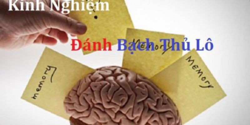 Các kinh nghiệm chơi bạch thủ lô